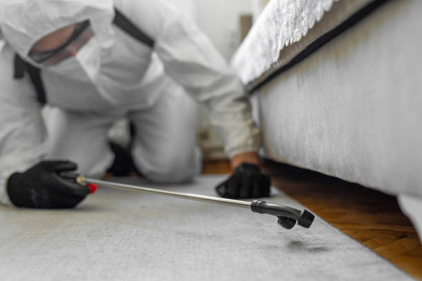 Professional Cockroach Control technician working in Frankfort, IL