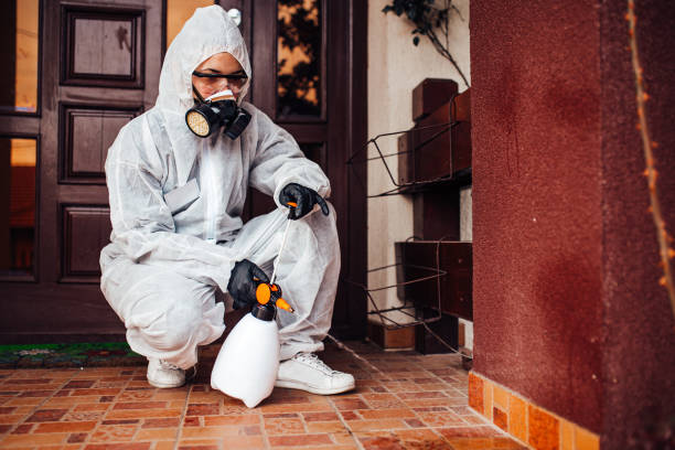 Reliable Cockroach Control contractor in Frankfort, IL by Nex Pest Control